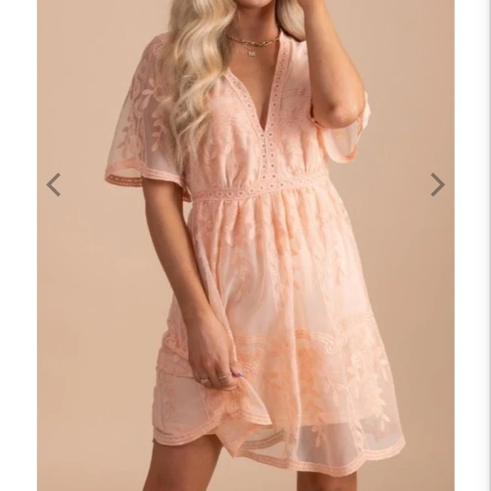Blush pink lace dress NWOT